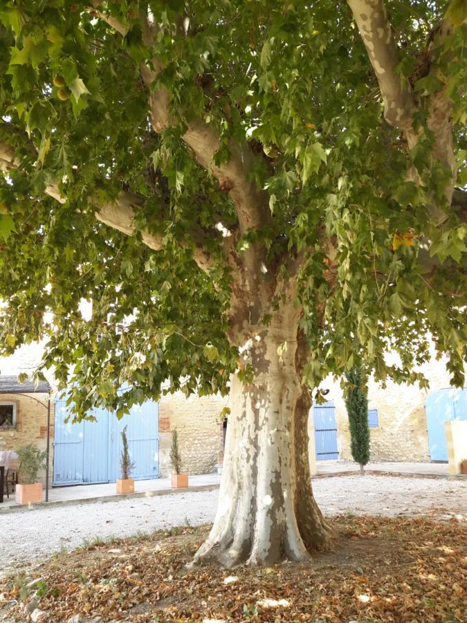Le Figuier Daire Tulette Dış mekan fotoğraf